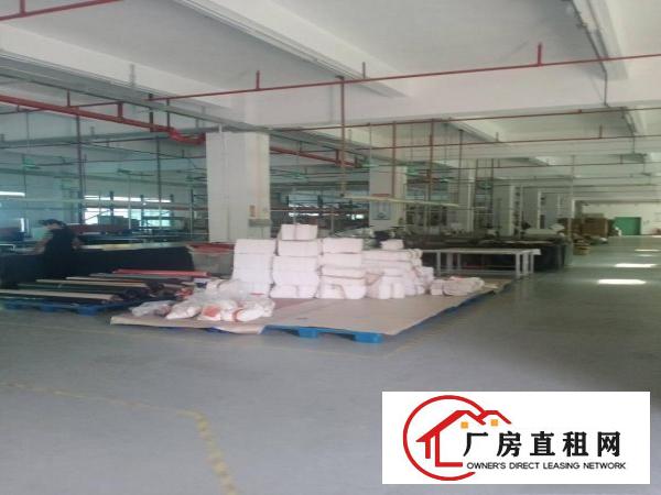  厚街桥头新出楼上1000平，带现成办公室装修