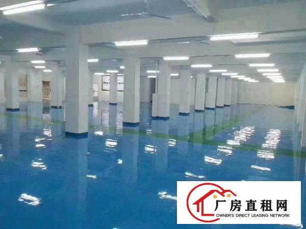  厚街独院两层11000方厂房仓库可分租