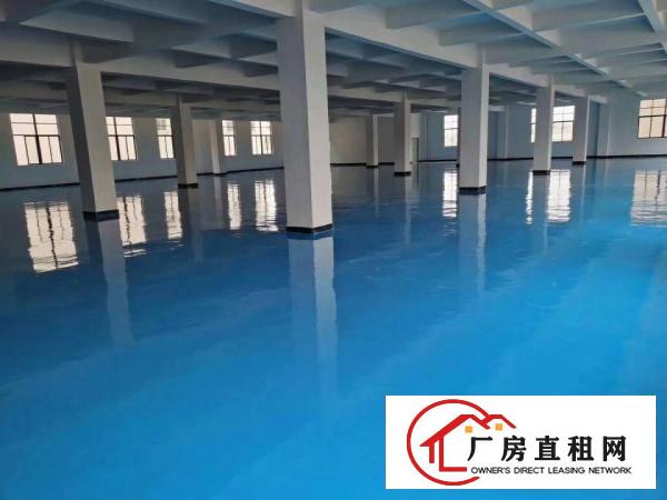  厚街独院两层11000方厂房仓库可分租
