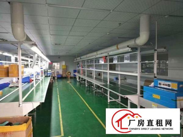  南五新出一二层标准2000平独院厂房有环评带办公地坪漆