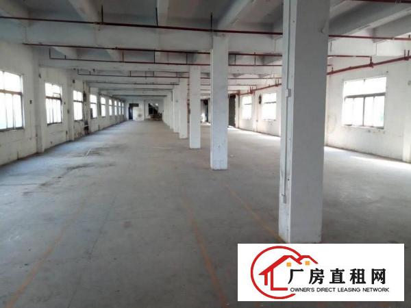  厚街汀山独院厂房7500平米，工业用地可办环评，交通好易招工