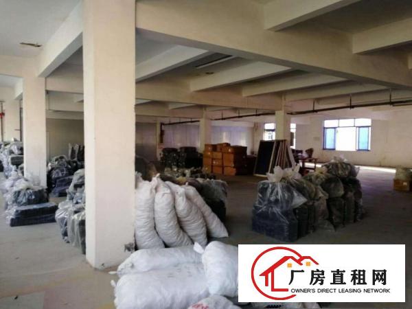  涌口新出原房东一楼600方甩租，惊爆价