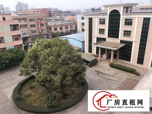  厚街新出现成沙发厂房招租楼房14层面积24000平方