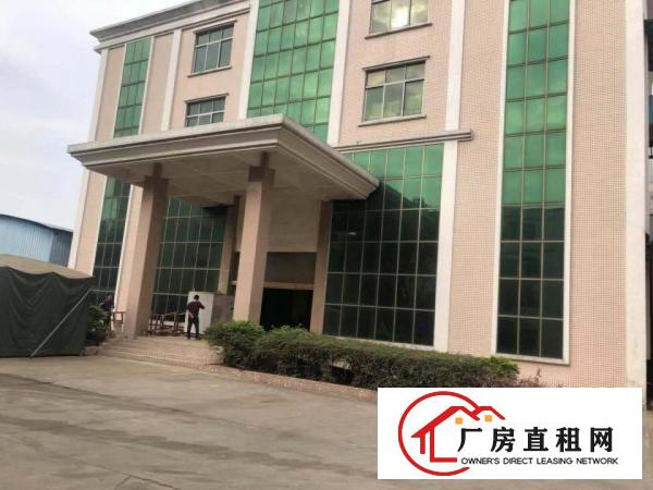  厚街新出现成沙发厂房招租楼房14层面积24000平方