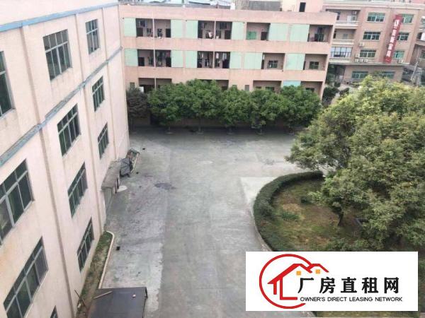  厚街新出现成沙发厂房招租楼房14层面积24000平方
