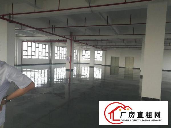  全新厂房带全新地坪漆，干净整洁大气，交通非常方便1350平方