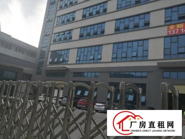  全新厂房带全新地坪漆，干净整洁大气，交通非常方便1350平方