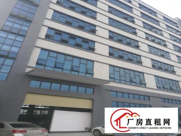  全新厂房带全新地坪漆，干净整洁大气，交通非常方便1350平方