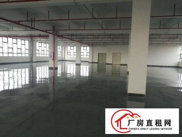  全新厂房带全新地坪漆，干净整洁大气，交通非常方便1350平方