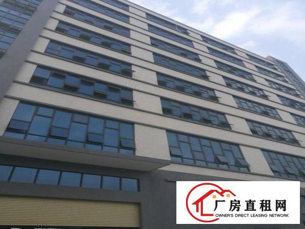  全新厂房带全新地坪漆，干净整洁大气，交通非常方便1350平方