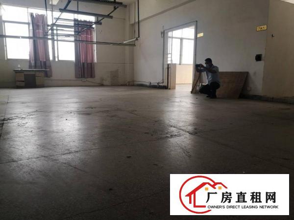 厚街原房东分租850方带办公室水电