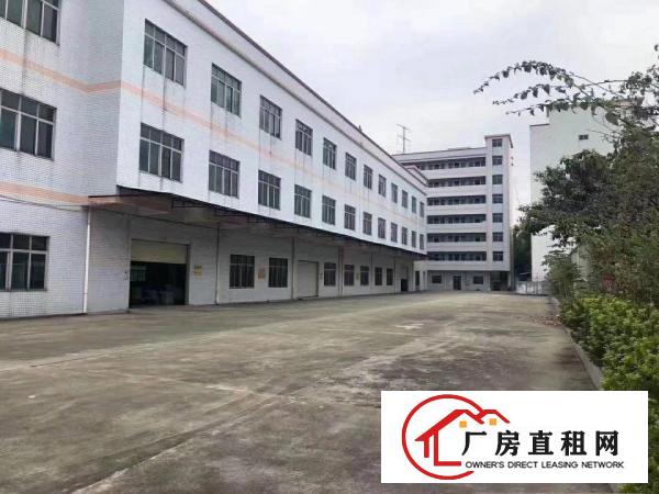  厚街新空出2110平方带装修厂房出租仓库出租可办环评