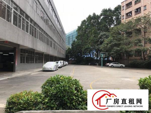  本村三楼整层2000平有现成豪华装修办公室车间有地坪漆环境好