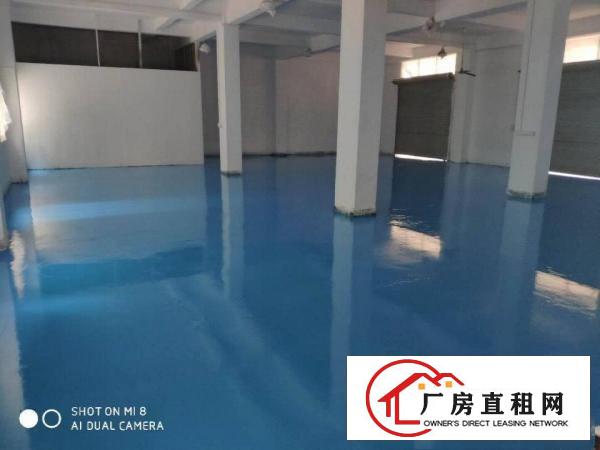  厚街白濠原房东厂房单层550平方带装修出租