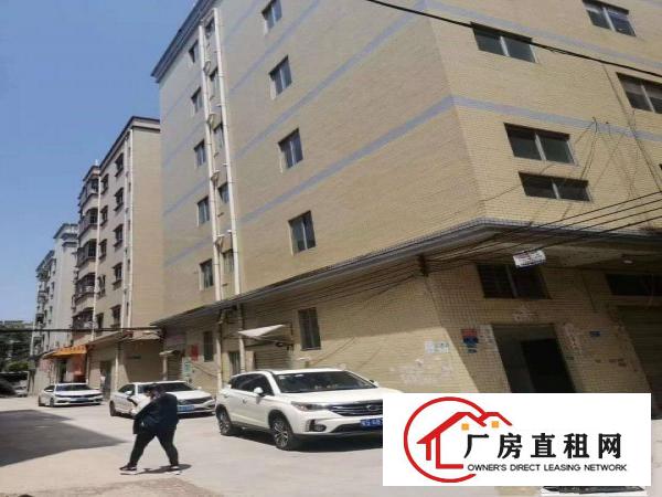  厚街白濠原房东厂房单层550平方带装修出租