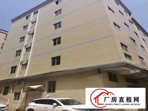  厚街白濠原房东厂房单层550平方带装修出租