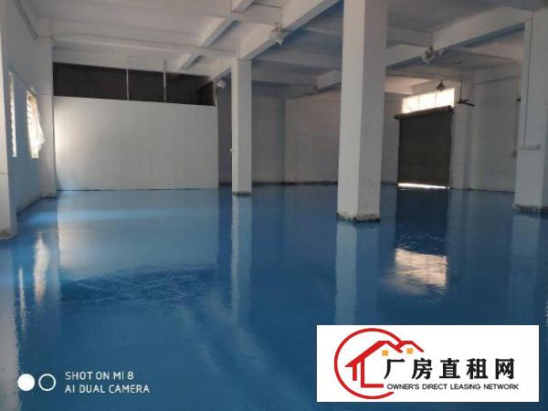  厚街新空出480平方带全新地坪漆一楼厂房出租仓库出租