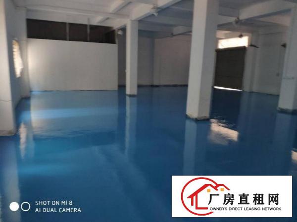  厚街新空出480平方带全新地坪漆一楼厂房出租仓库出租
