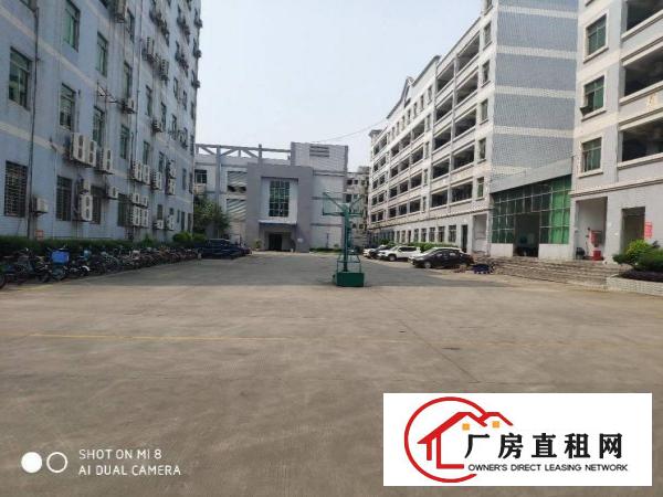 厚街新空出480平方带全新地坪漆一楼厂房出租仓库出租