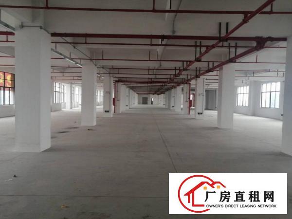  下汴环莞快速边独门独院厂房单层3000平工业用地形象好空地大