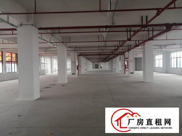  下汴环莞快速边独门独院厂房单层3000平工业用地形象好空地大