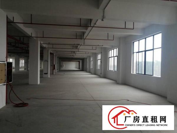  下汴环莞快速边独门独院厂房单层3000平工业用地形象好空地大