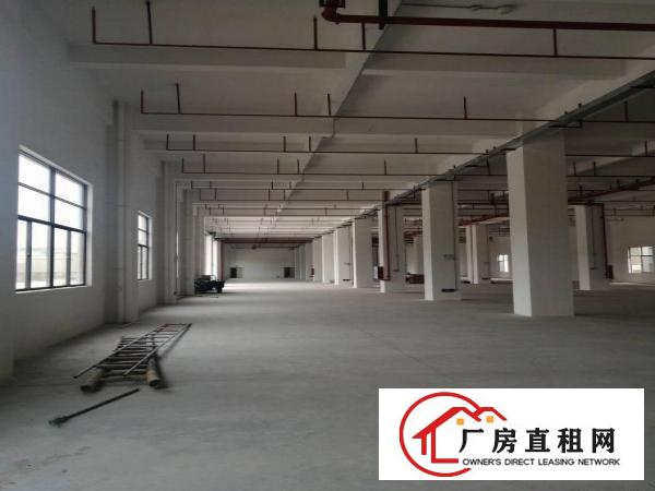  下汴环莞快速边独门独院厂房单层3000平工业用地形象好空地大