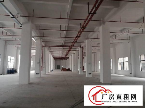  下汴环莞快速边独门独院厂房单层3000平工业用地形象好空地大