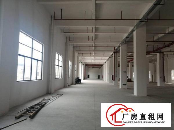  下汴环莞快速边独门独院厂房单层3000平工业用地形象好空地大