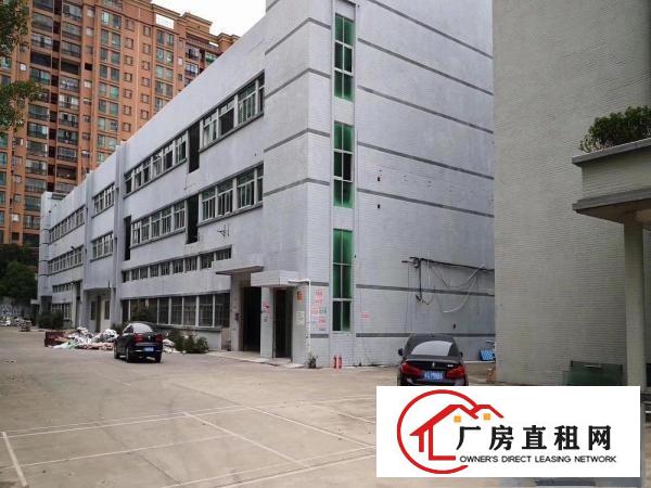  厚街独院厂房招租，单层3600方，全新地坪漆