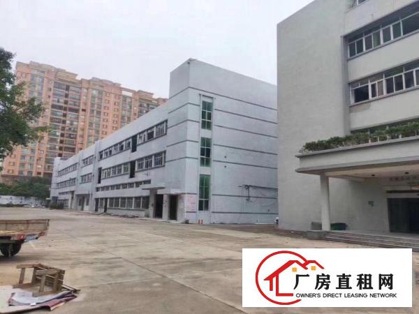  厚街独院厂房招租，单层3600方，全新地坪漆