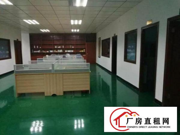  厚街汀山新出钢构独院2000平地坪漆办公装修可办环评