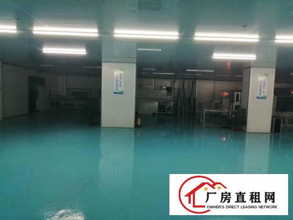  刚刚空出现成无尘车间二楼2000方