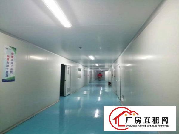  刚刚空出现成无尘车间二楼2000方