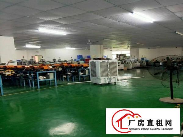  厚街新空出1800平方带精装修厂房出租仓库出租可办环评