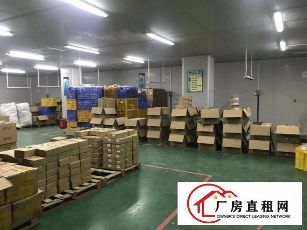  厚街新空出1800平方带精装修厂房出租仓库出租可办环评