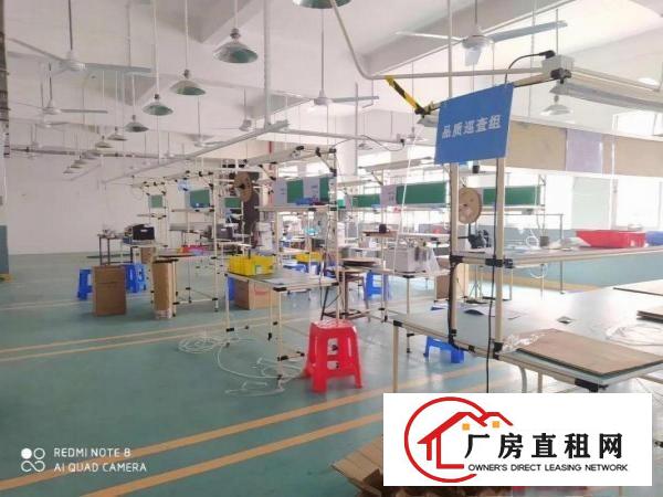  原房东独门独院5000平方大空地高绿化
