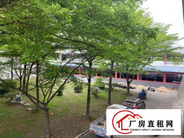  原房东独门独院5000平方大空地高绿化