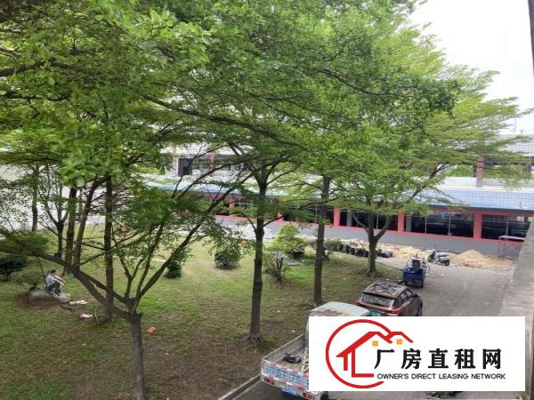  原房东独门独院5000平方大空地高绿化