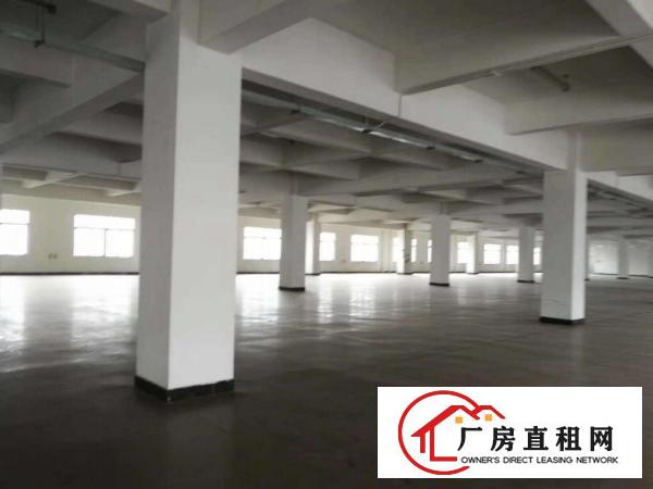  厚街白濠厂房出租,每层可租2000平方,可任选楼层，工业用地