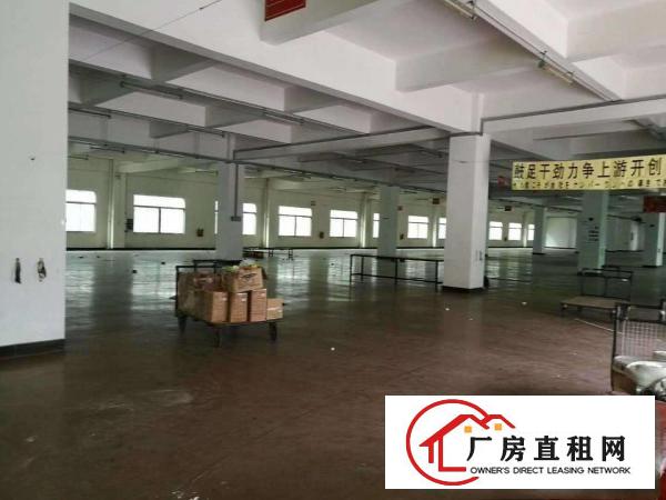  厚街白濠厂房出租,每层可租2000平方,可任选楼层，工业用地