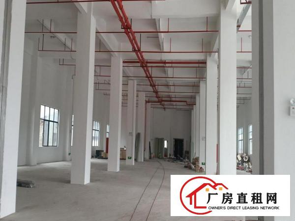  厚街镇下汴全新带装修高端工业厂房3000平方，大小可分租