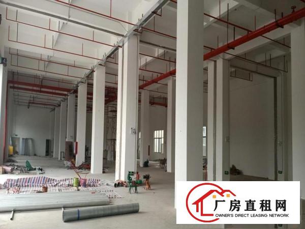  厚街镇下汴全新带装修高端工业厂房3000平方，大小可分租