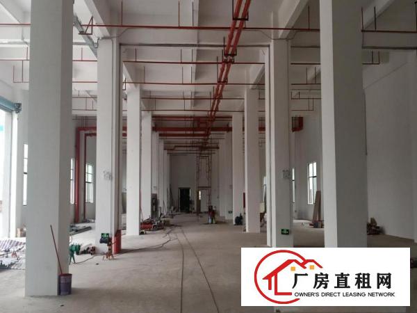  厚街镇下汴全新带装修高端工业厂房3000平方，大小可分租