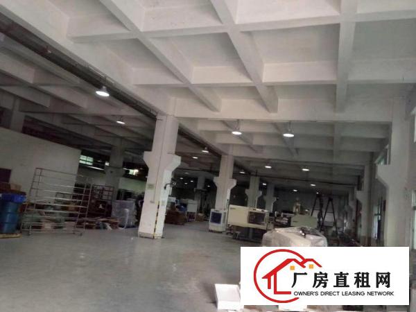  厚街一楼高度7米1500平方厂房出租