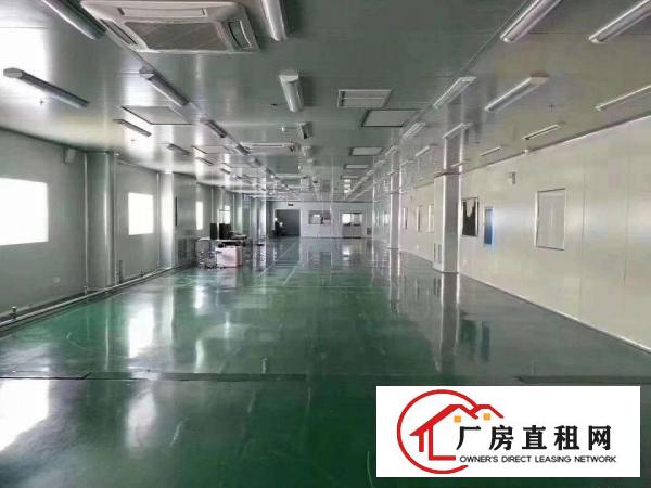 厚街汀山新出无尘车间1650平