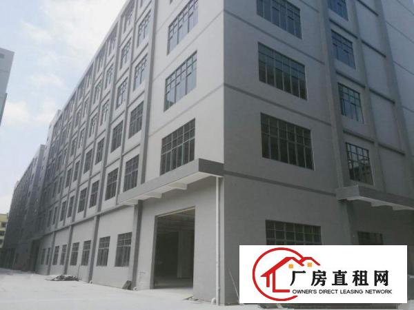  厚街汀山新出无尘车间1650平
