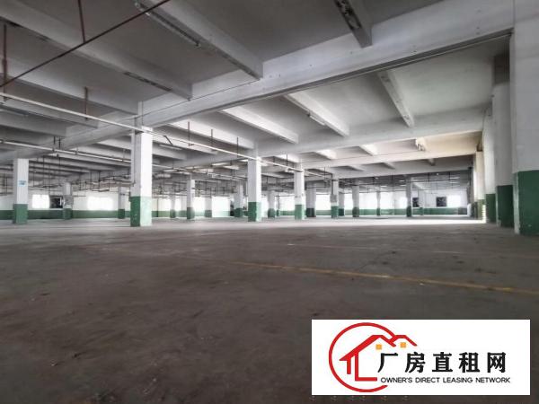  厚街空地超大独院厂房11000方出租