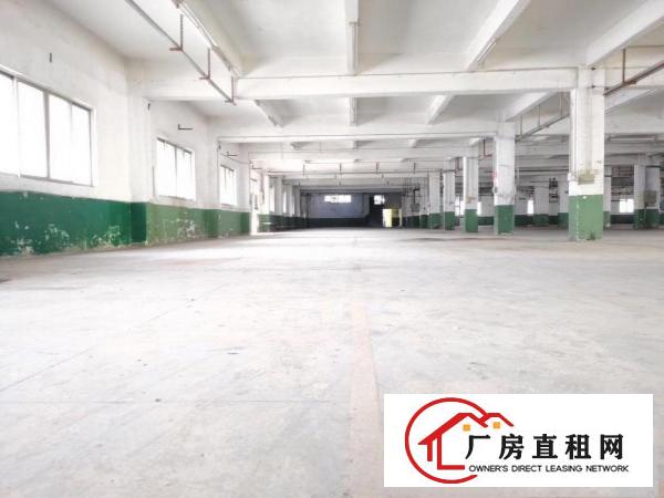  厚街空地超大独院厂房11000方出租