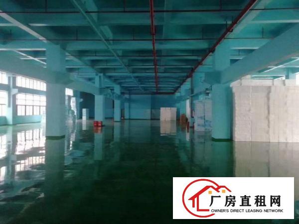  桥头新出800方一楼厂房出租，价格优